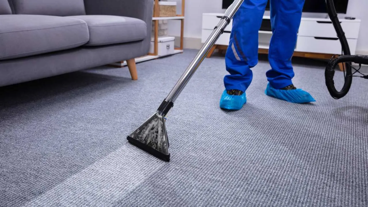 ﻿﻿Fresh Carpets for Fresher