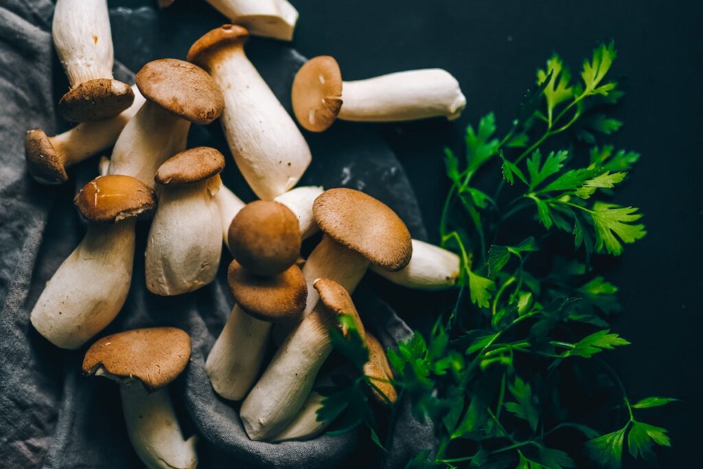How Functional Mushrooms Are Redefining Natural Wellness