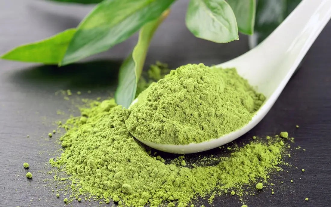How to Choose High-Quality Matcha Powder