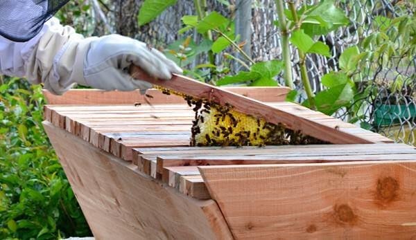 Honey Storage Tank and Essential Beekeeping Supplies for Modern Beekeepers