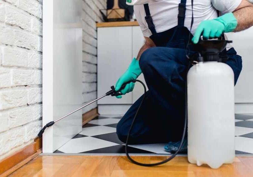 Pest Control Surrey Effective Solutions for Home and Business
