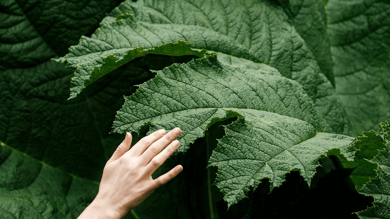 Turning Sustainability Into a Competitive Advantage