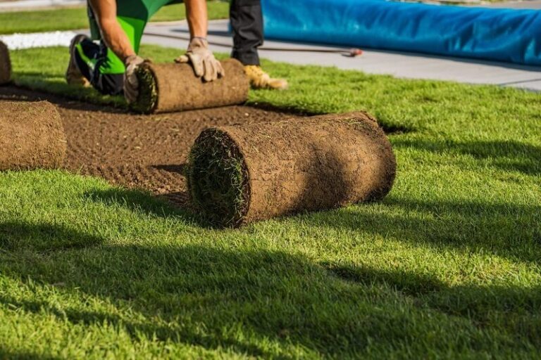 Sydney Turf and Landscaping