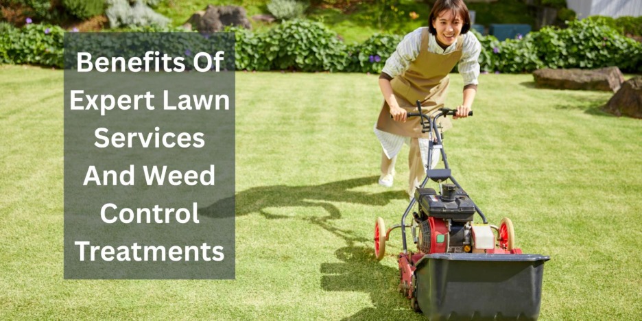 Benefits Of Expert Lawn Services And Weed Control Treatments