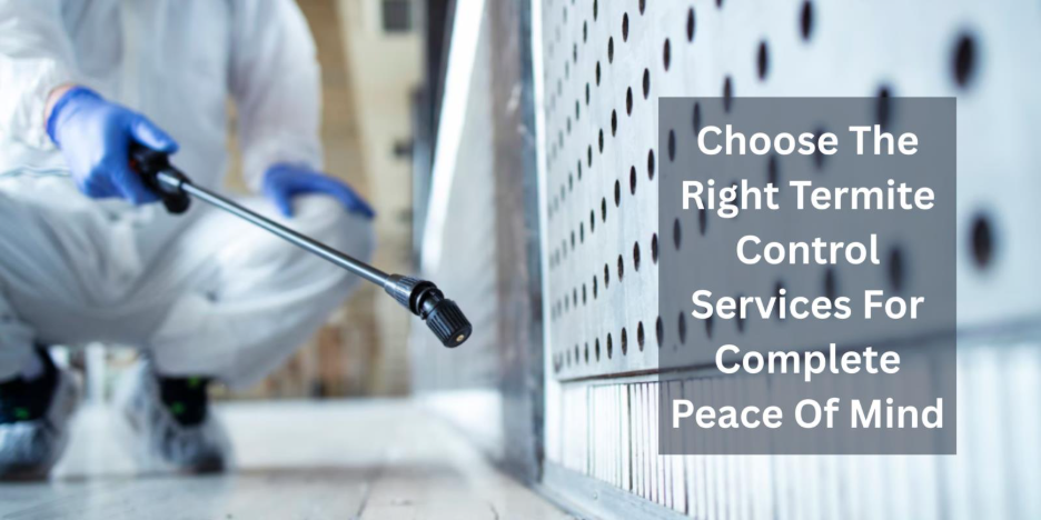 Choose The Right Termite Control Services For Complete Peace Of Mind