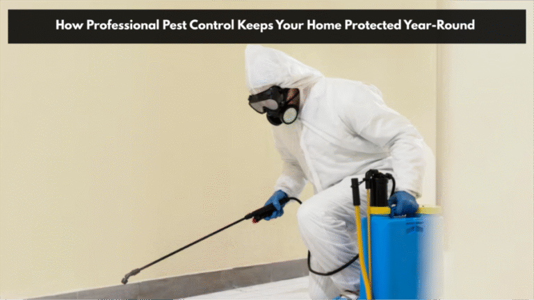 How Professional Pest Control Keeps Your Home Protected Year-Round