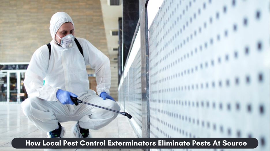 How Local Pest Control Exterminators Eliminate Pests At Source