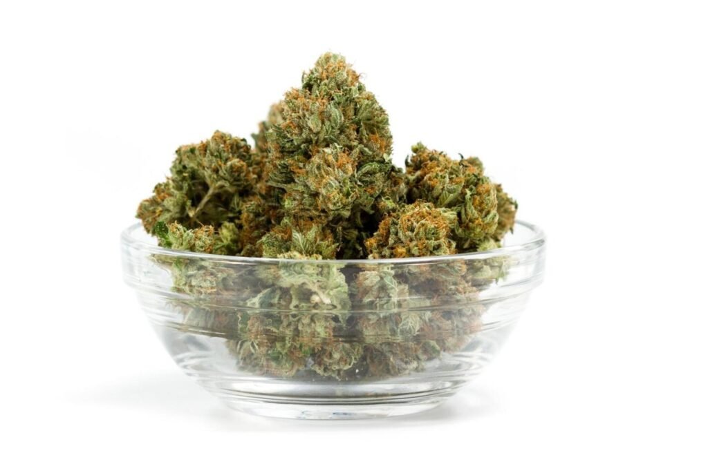 Exploring Cannabis Product Options